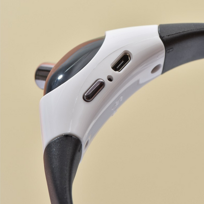 Laser Collar Toy for Cats